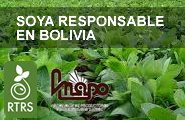 Soya responsable en Bolivia